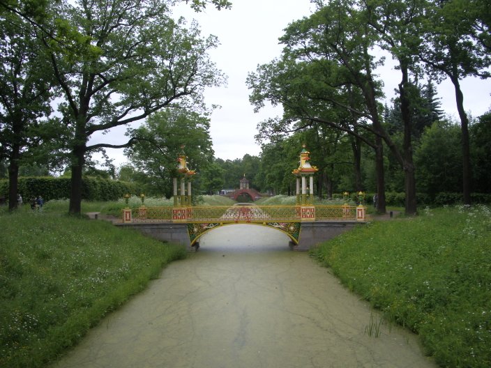 IMGP3349.JPG