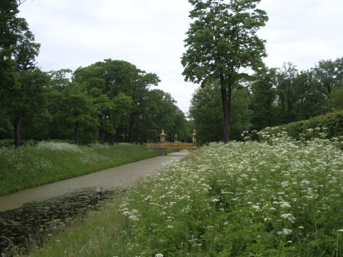 IMGP3341.JPG