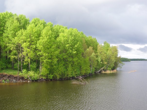 x_846d8c05.jpg