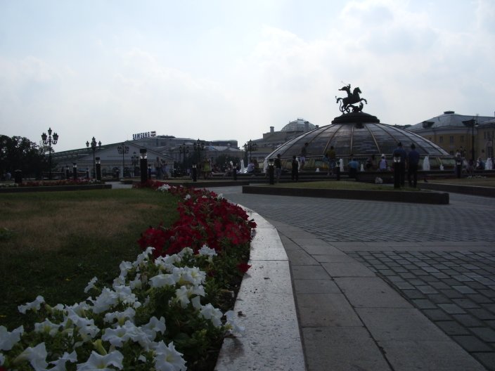 IMGP3428.JPG
