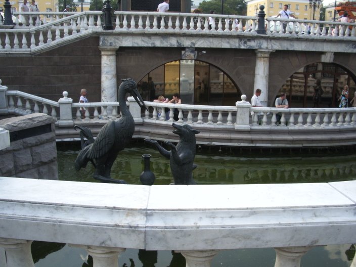 IMGP3469.JPG
