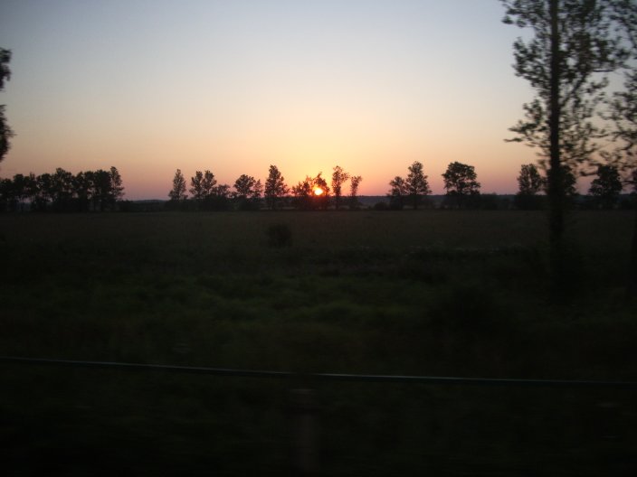 IMGP3495.JPG