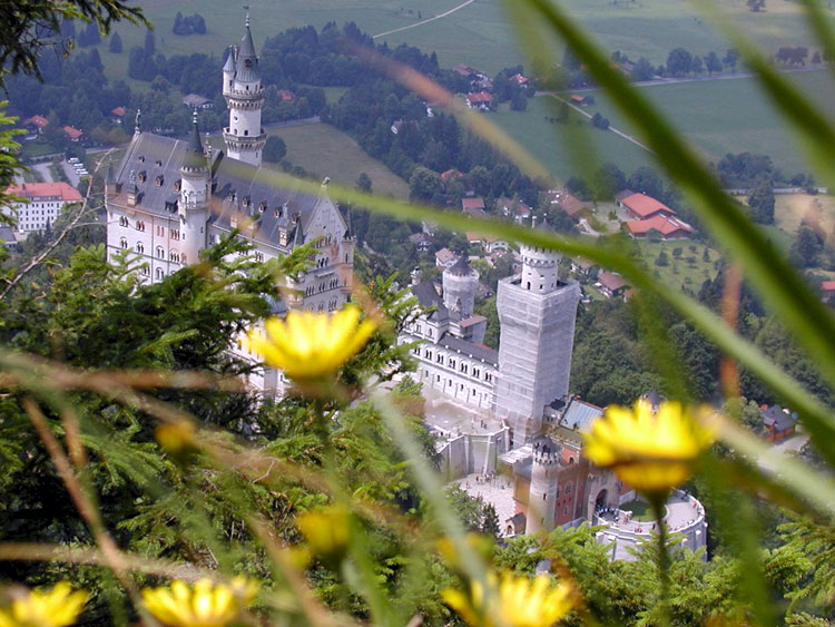 p5326.jpg