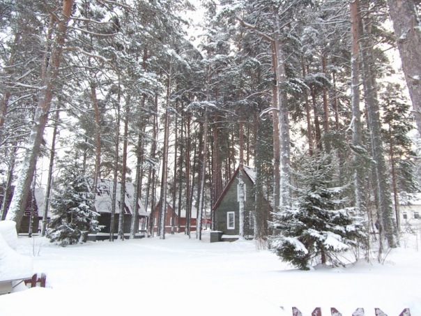 x_31773089.jpg