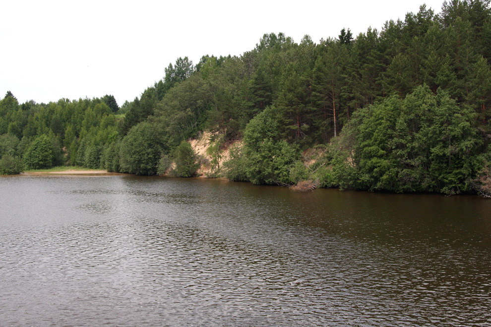 IMG_5554.JPG