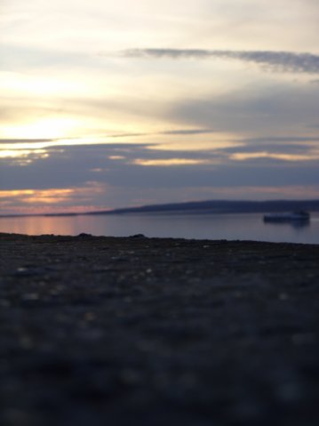 x_156f1c41.jpg