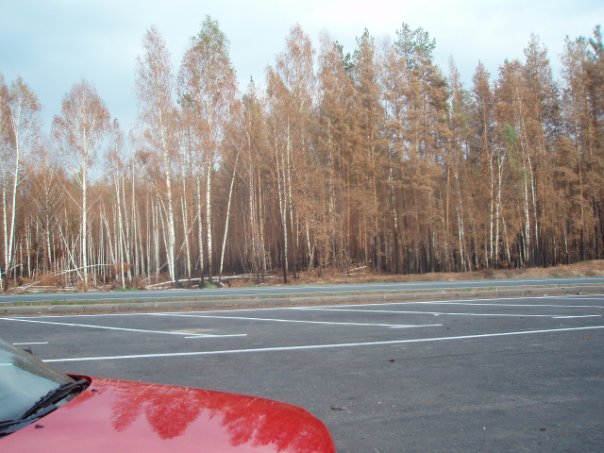 x_4c062525.jpg