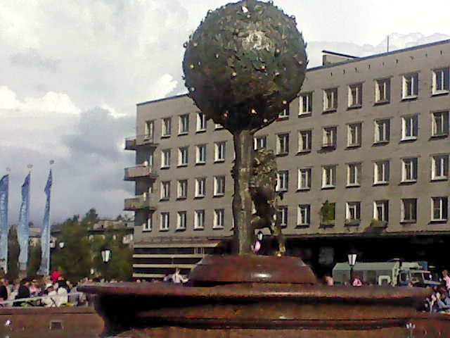 DSC00140.JPG