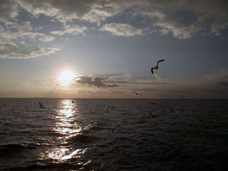 DSCF0366.JPG