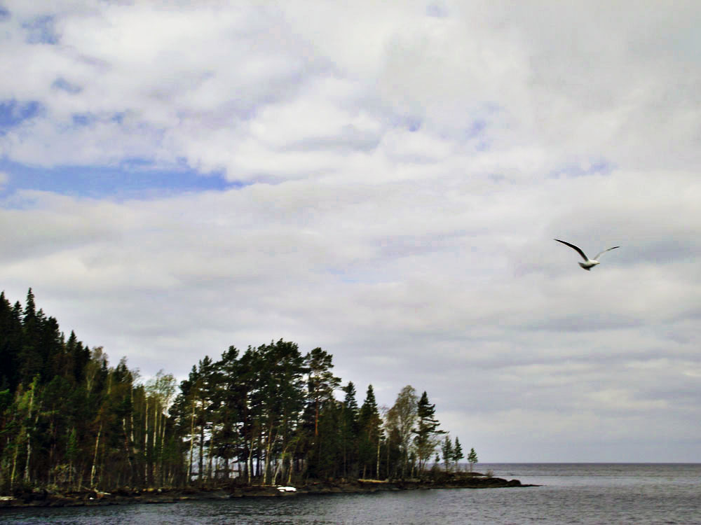 DSCF0273.JPG