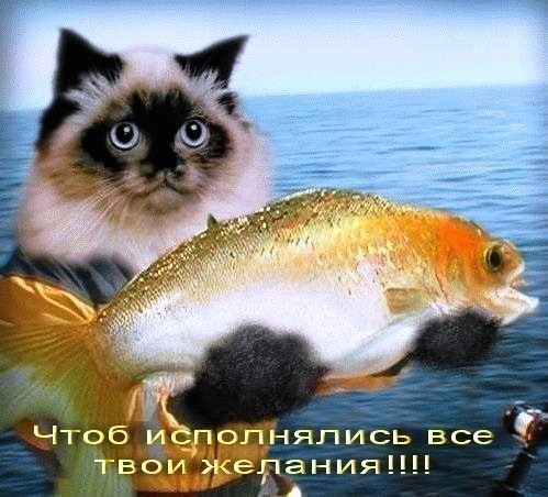 x_873e3989.jpg