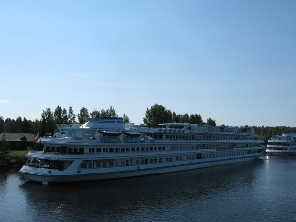 x_5c973093.jpg