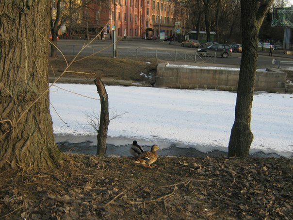 x_b9620c66.jpg