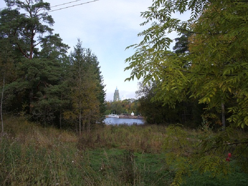 IMGP4931.JPG