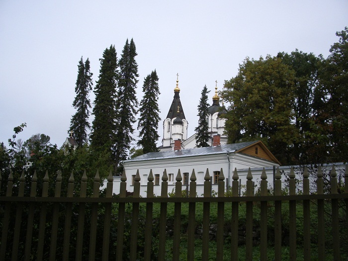 IMGP4923.JPG