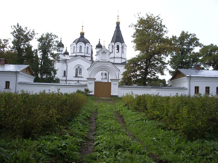 IMGP4925.JPG