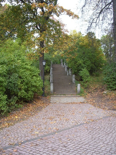 IMGP4941.JPG