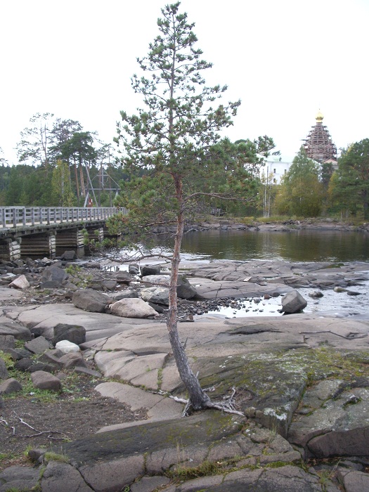 IMGP4949.JPG