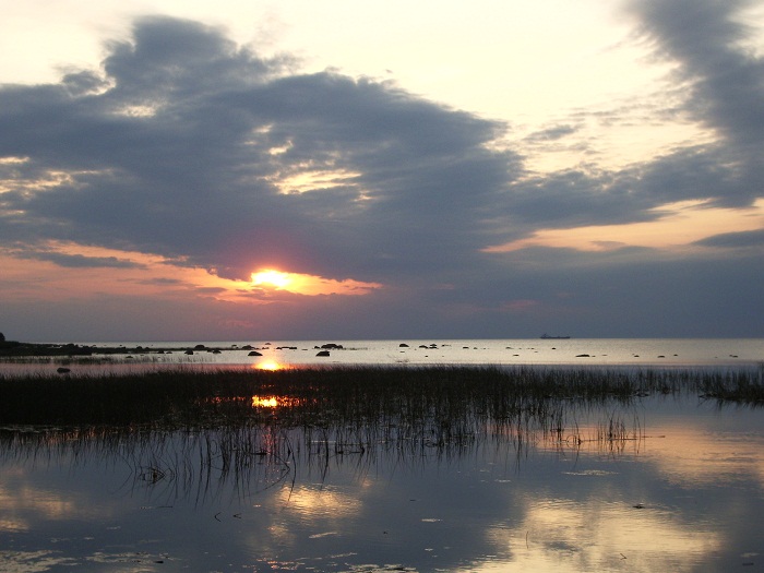 IMGP1687.JPG