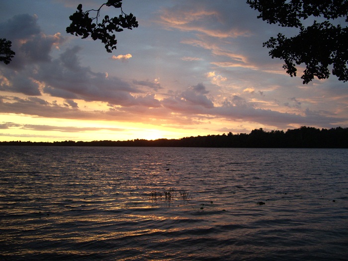 IMGP1741.JPG
