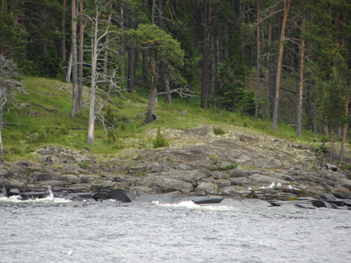 IMG_6236.JPG