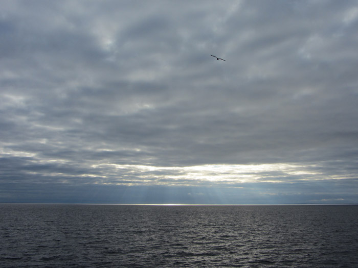 IMG_6378.JPG
