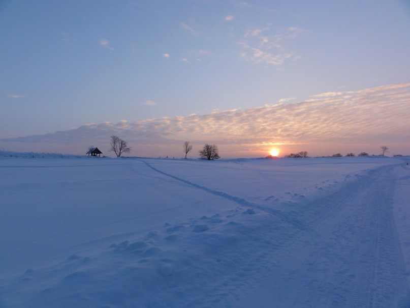 y_7413149f[1].jpg