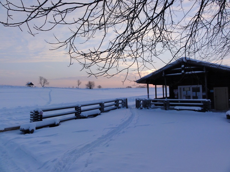 y_67e0071a[1].jpg