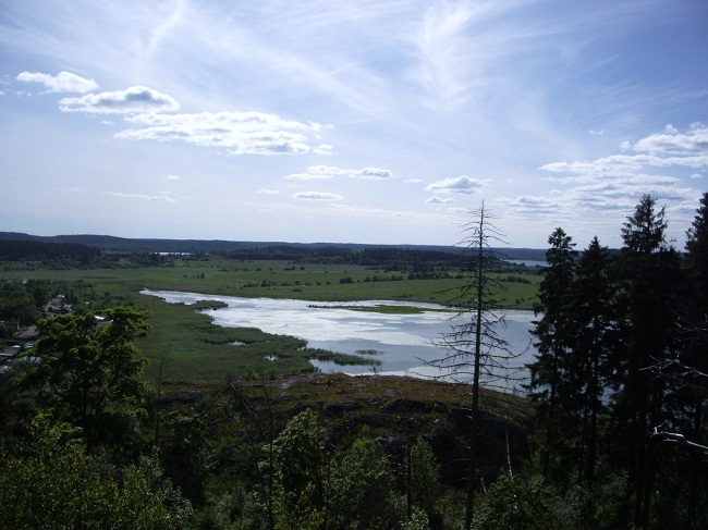 IMGP5328.JPG