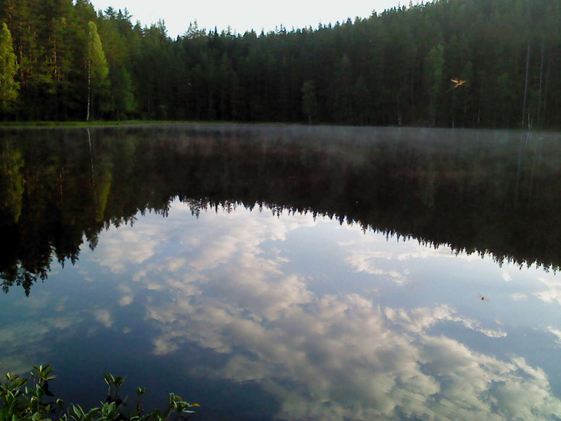DSC00887.JPG