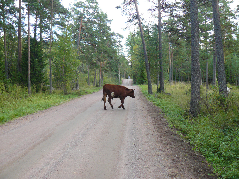 val_maja_04.jpg