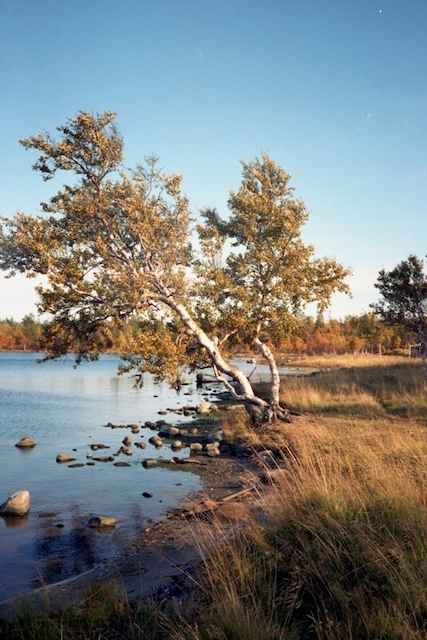 img524.jpg