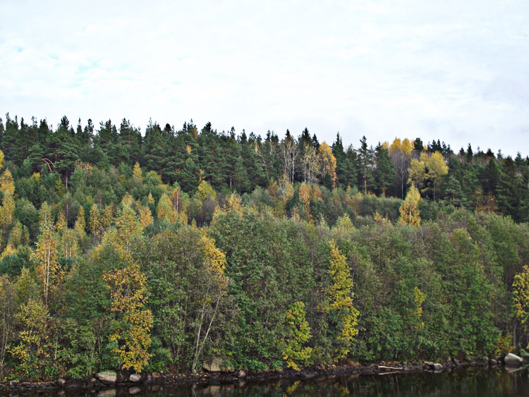 DSCF1178.JPG
