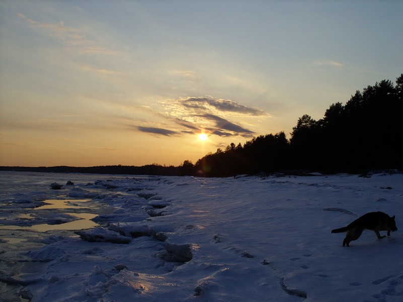0_a288_442749d3_XL.jpg