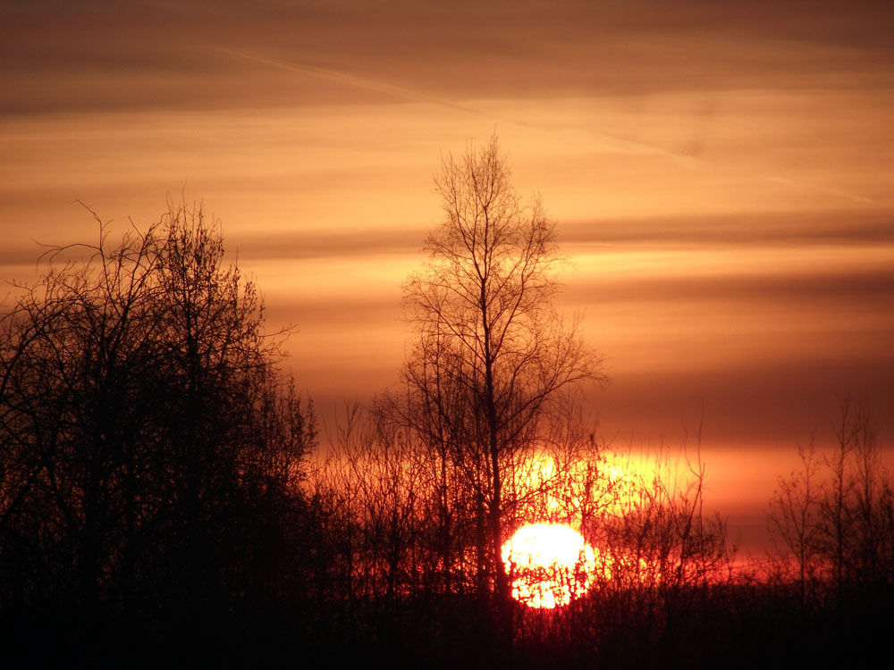 DSCF0070.JPG