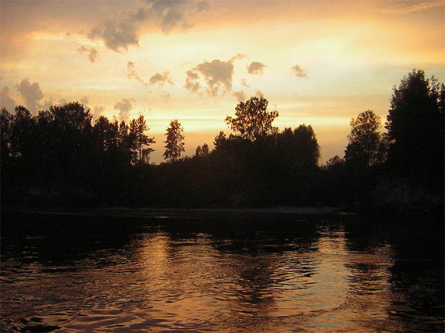 DSCN1558.jpg