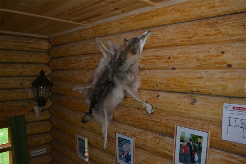 DSC_1574.jpeg