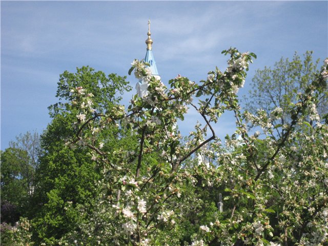 f499040d9eac.jpg