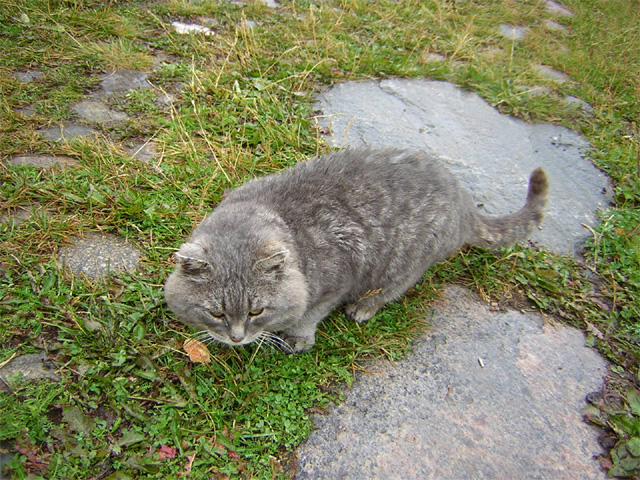 DSCN9109.jpg