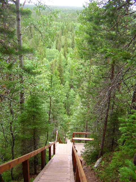 DSCN9299.jpg