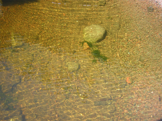 DSCN02 (748).jpg