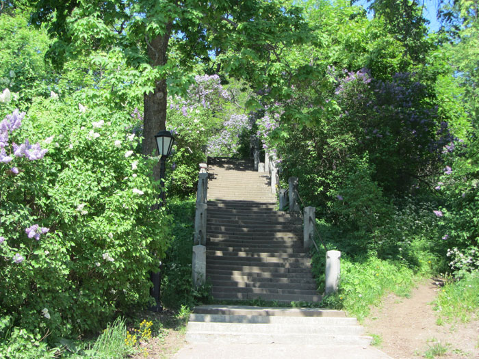 Leto2013-140.jpg