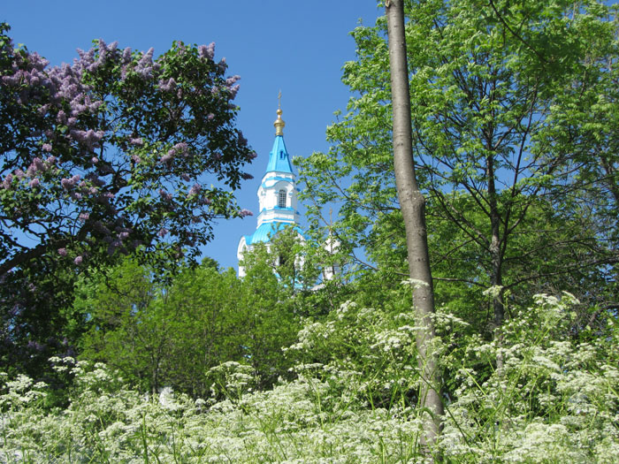 Leto2013-157.jpg